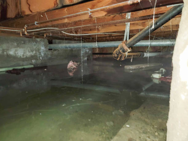 Best 24/7 water damage repair  in Monticello, UT