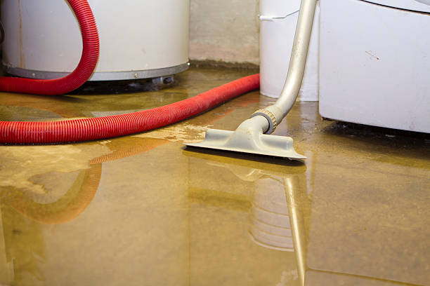 Best Water damage restoration near me  in Monticello, UT