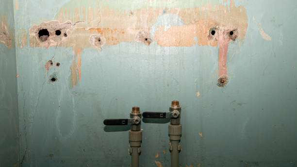 Carpet water damage restoration in UT