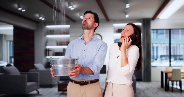 Best Local water damage restoration  in Monticello, UT