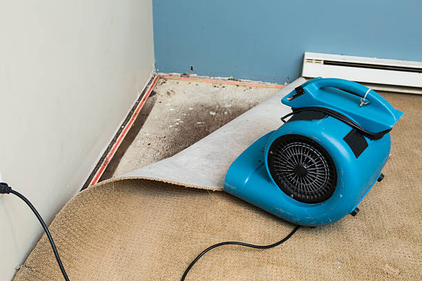 Best Flooded house restoration  in Monticello, UT